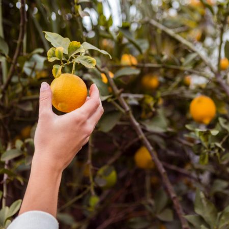 2148396896 2148396896