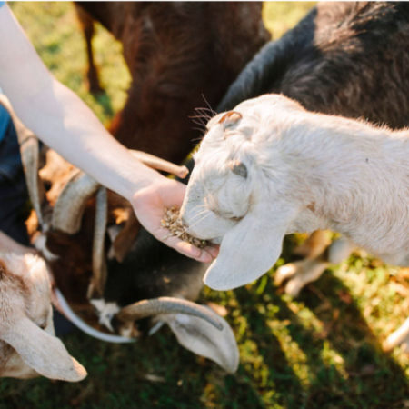 Untitled-design-8-1-1600x533