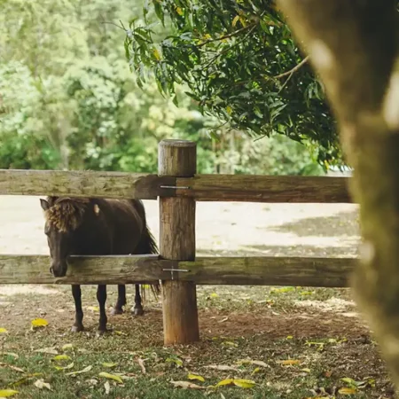 fbb3335f-0f12-4612-9726-315870657db3 fbb3335f-0f12-4612-9726-315870657db3